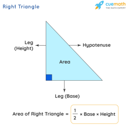 Right triangle wxy false true brainly