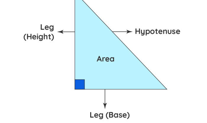 Right triangle wxy false true brainly