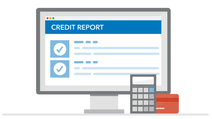 Caroline blue's credit report worksheet