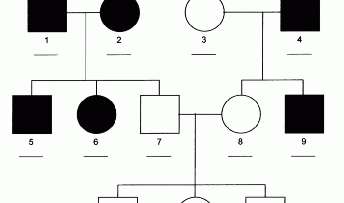 Pedigrees practice - sickle cell answer key