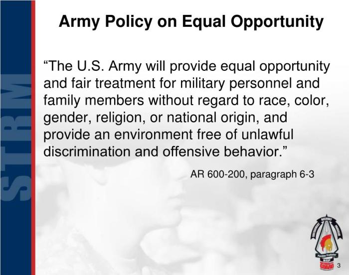 Army equal opportunity regulation ar 600-20