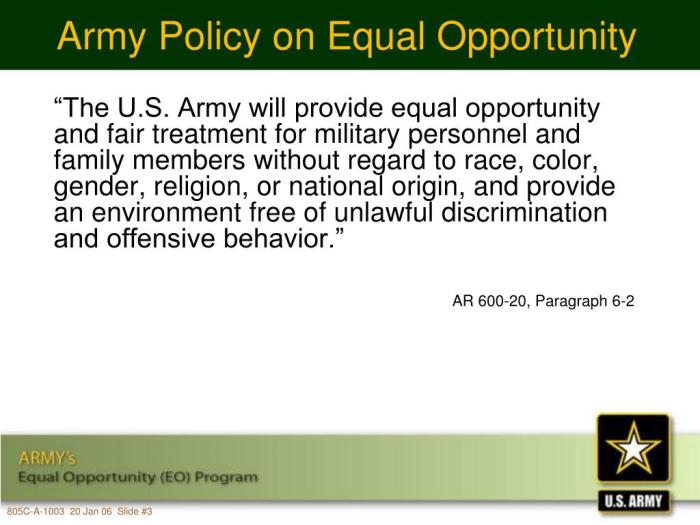 Army equal opportunity regulation ar 600-20