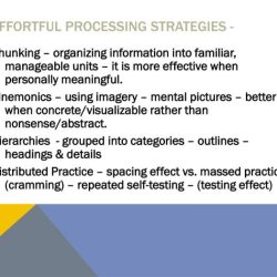 Effortful processing can only occur with