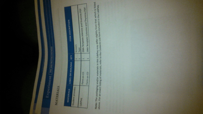 Chapter 13 lab from dna to protein synthesis