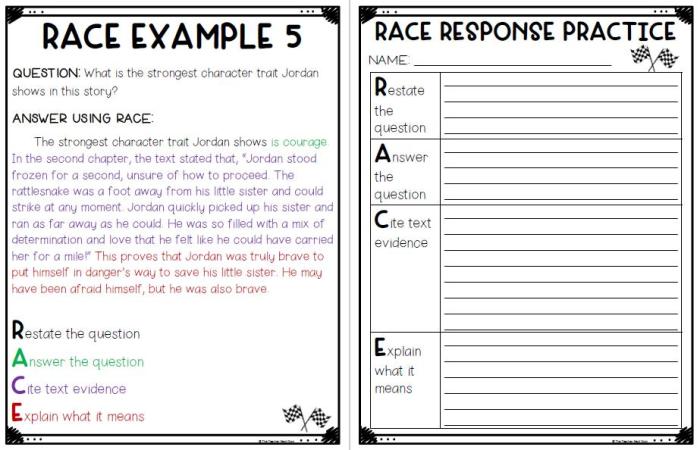 Race writing strategy worksheet pdf