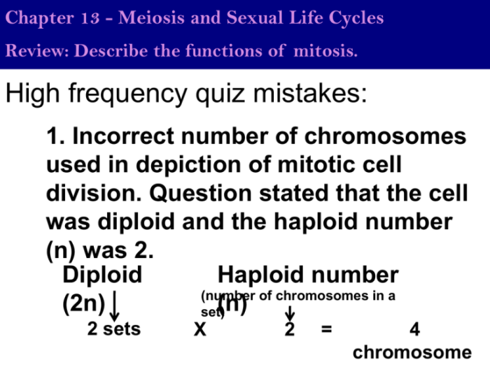 Meiosis