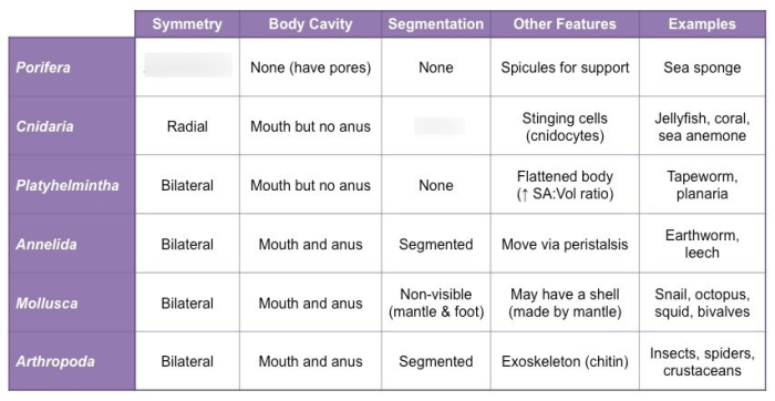 Table 19.1 summary table of animal characteristics