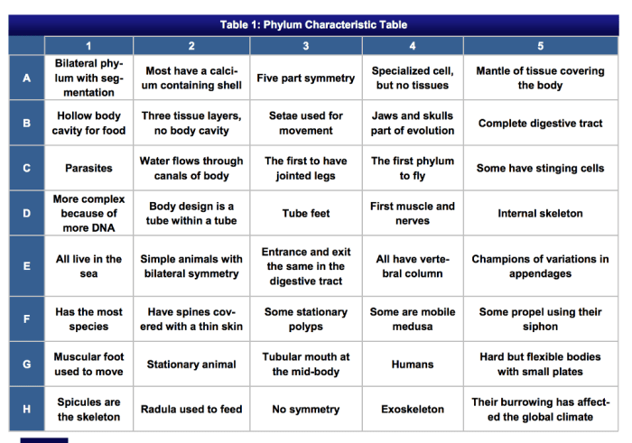 Table 19.1 summary table of animal characteristics